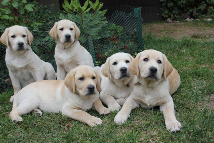 10500505_745890962167118_3401619442172617325_n