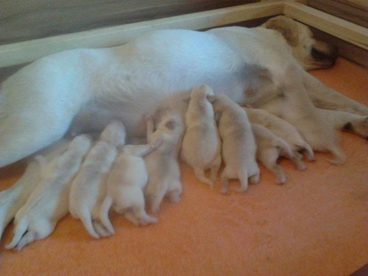 10599490_745874488835432_5814635734069405320_n