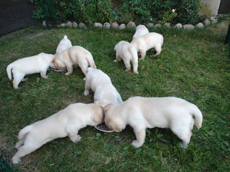 10653496_745875842168630_5774549491424004327_n