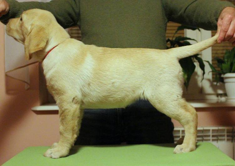 10665363_745877442168470_5722729735016916225_n