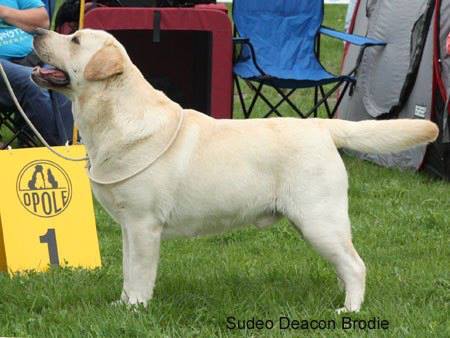 10801981_745874802168734_802689314313359130_n