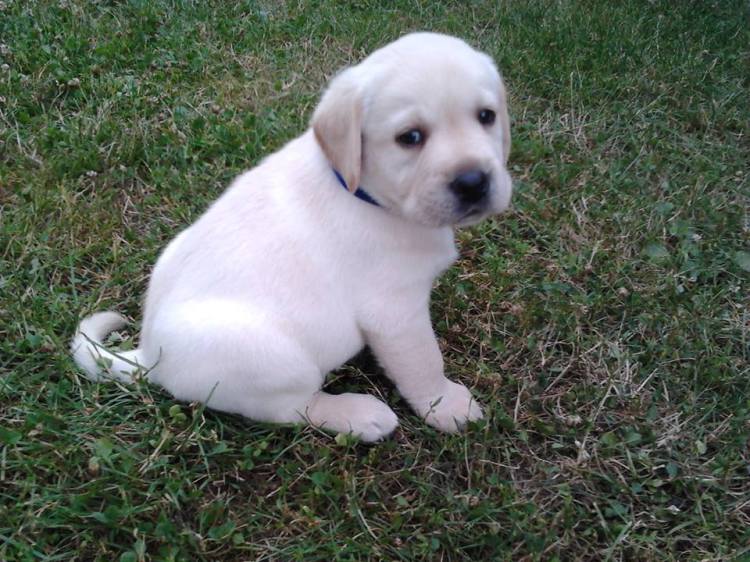 150708_745875888835292_2377577072063329569_n