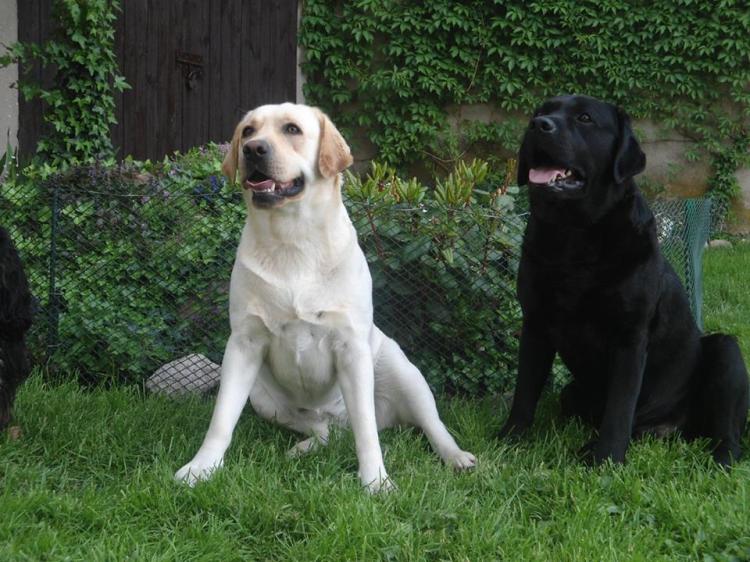 10002972_745977275491820_911950856096957433_n