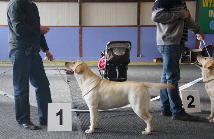 10346367_745844005505147_6691183763843134979_n