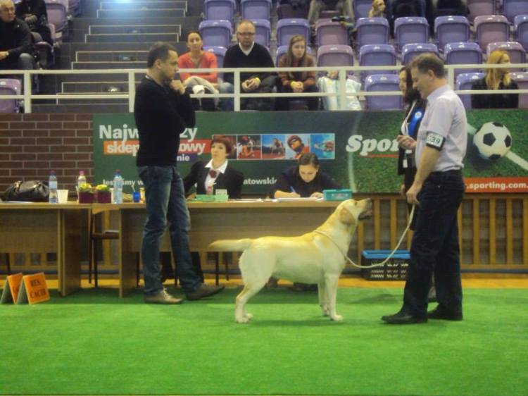 10347554_745844928838388_4653273387708237635_n