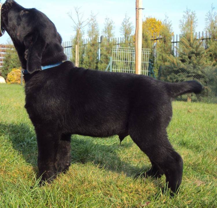 10352346_745972135492334_5403571587311930744_n