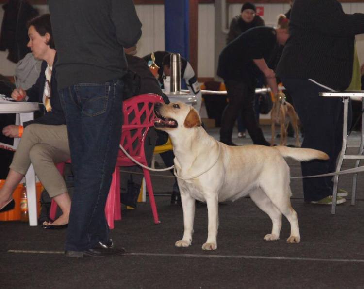 10410502_745844098838471_3017266741775298841_n