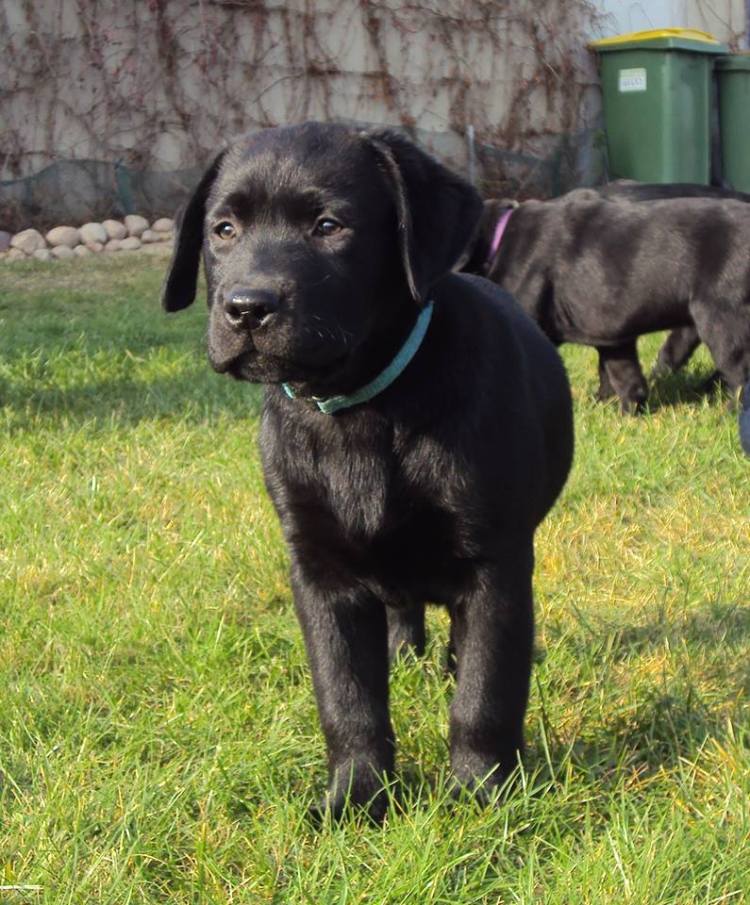 10469455_745963608826520_5096912528102915497_n