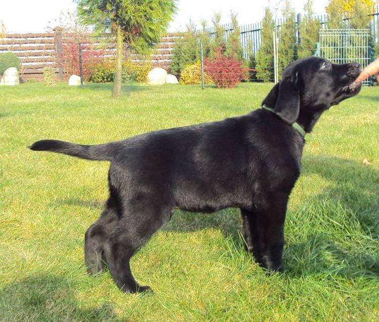 10603596_745963698826511_3281011848004963077_n