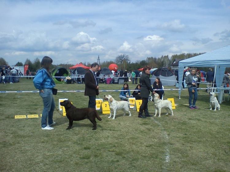 10624807_745860625503485_5357687867148553861_n