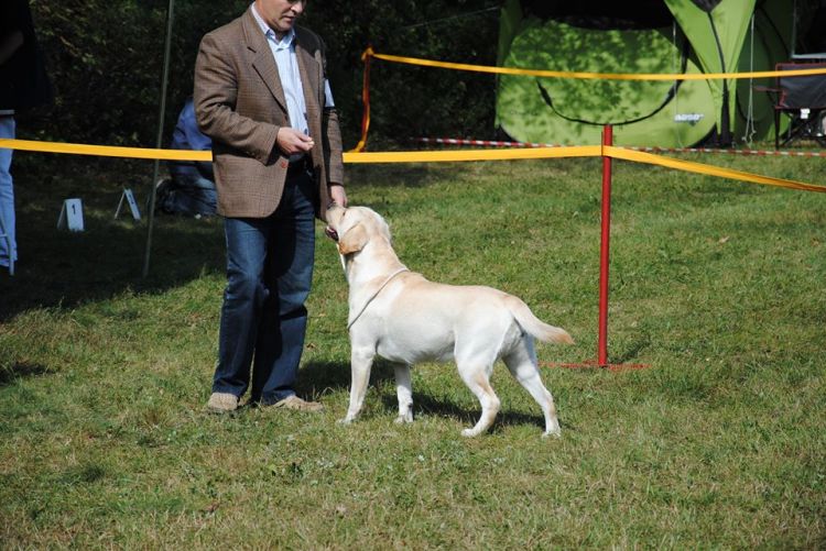 10665812_745851862171028_22421150706748178_n