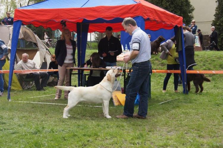 10670184_745843298838551_8822229471067551645_n