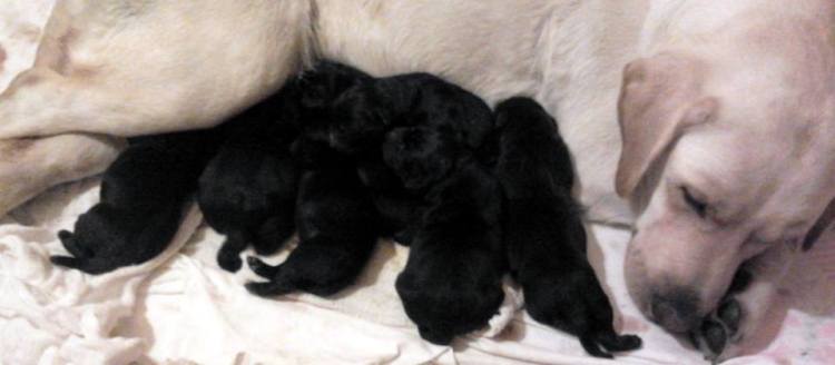 10730988_745966348826246_101668601210061439_n