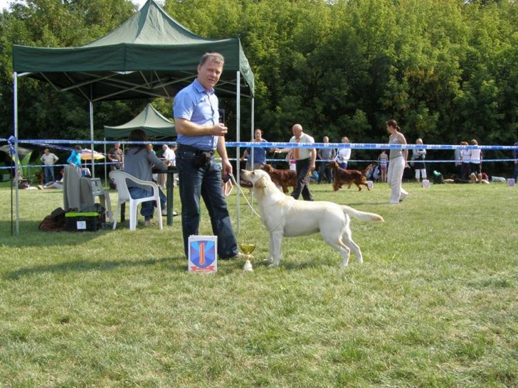 10801739_745853745504173_8933279058317477381_n