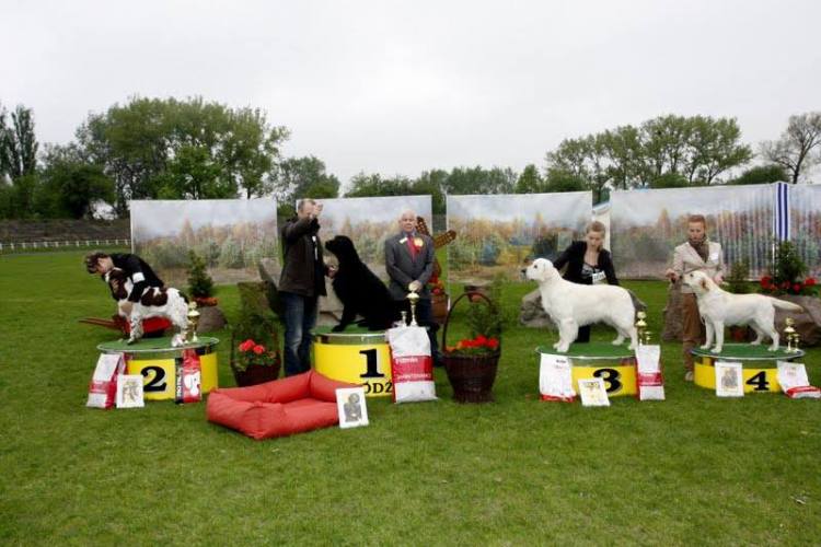 1503243_745840705505477_5754139705400658019_n