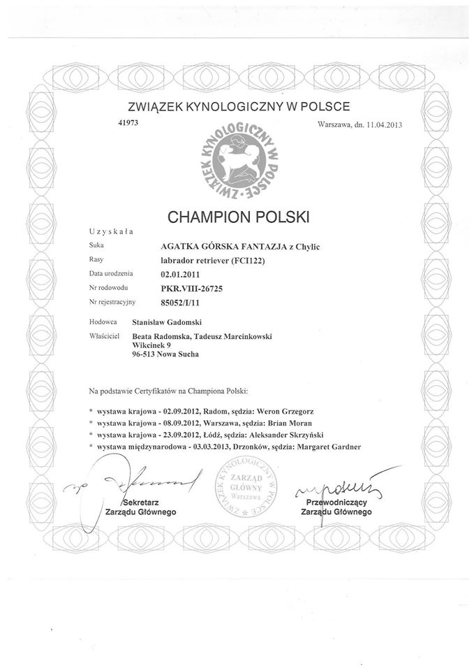 1511659_745841748838706_7725627173219674946_o