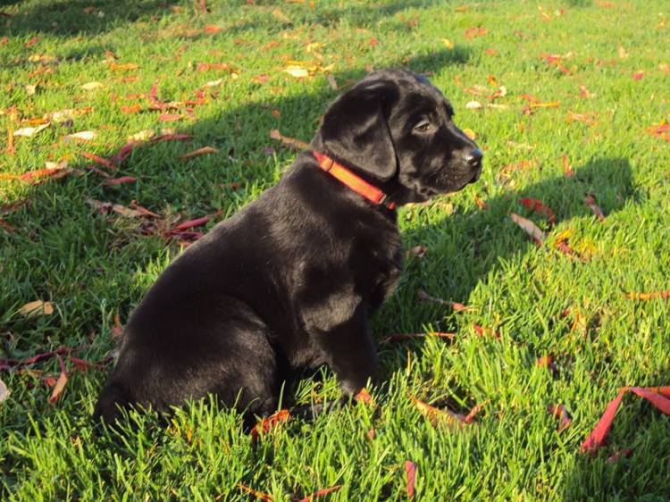 1622601_745963752159839_630964544535252163_n