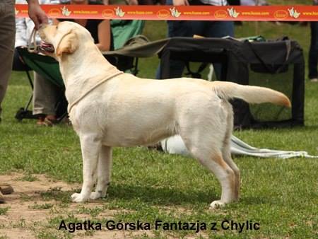 1964989_745847362171478_2757920115981380355_n