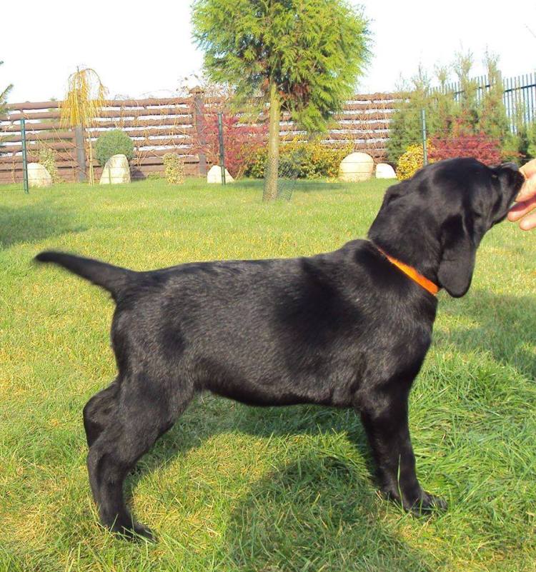 983811_745963742159840_8631663617541547495_n